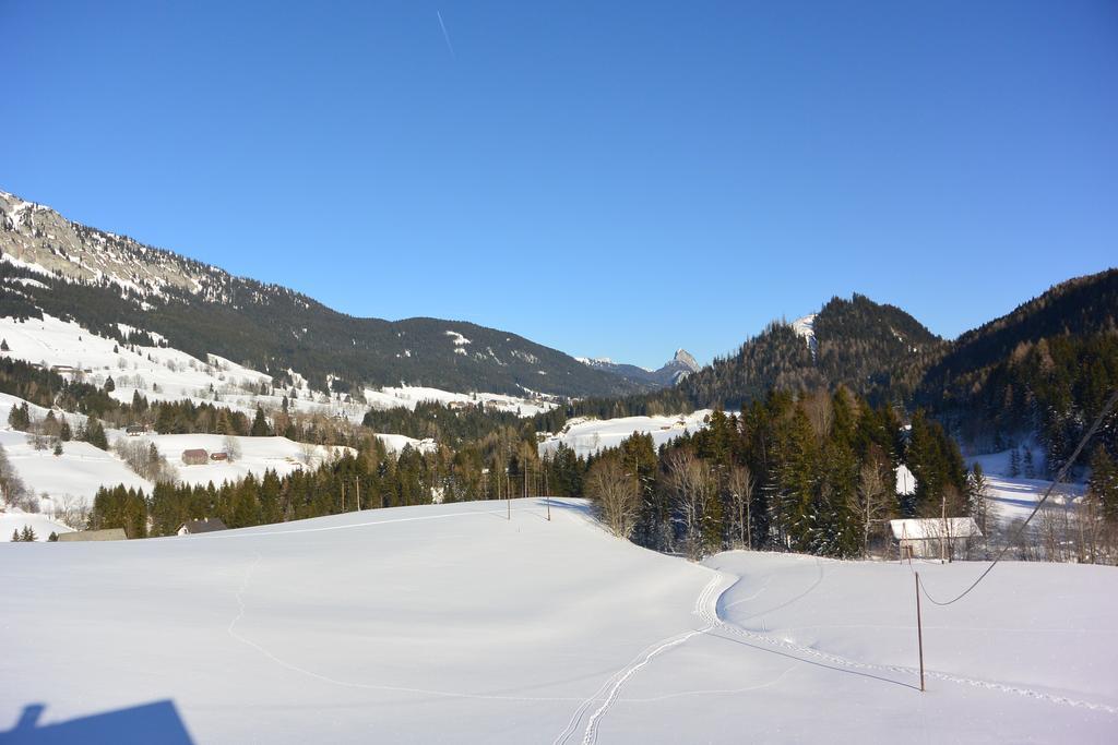 Ferienwohnung Poreiterhof Tauplitz Bagian luar foto