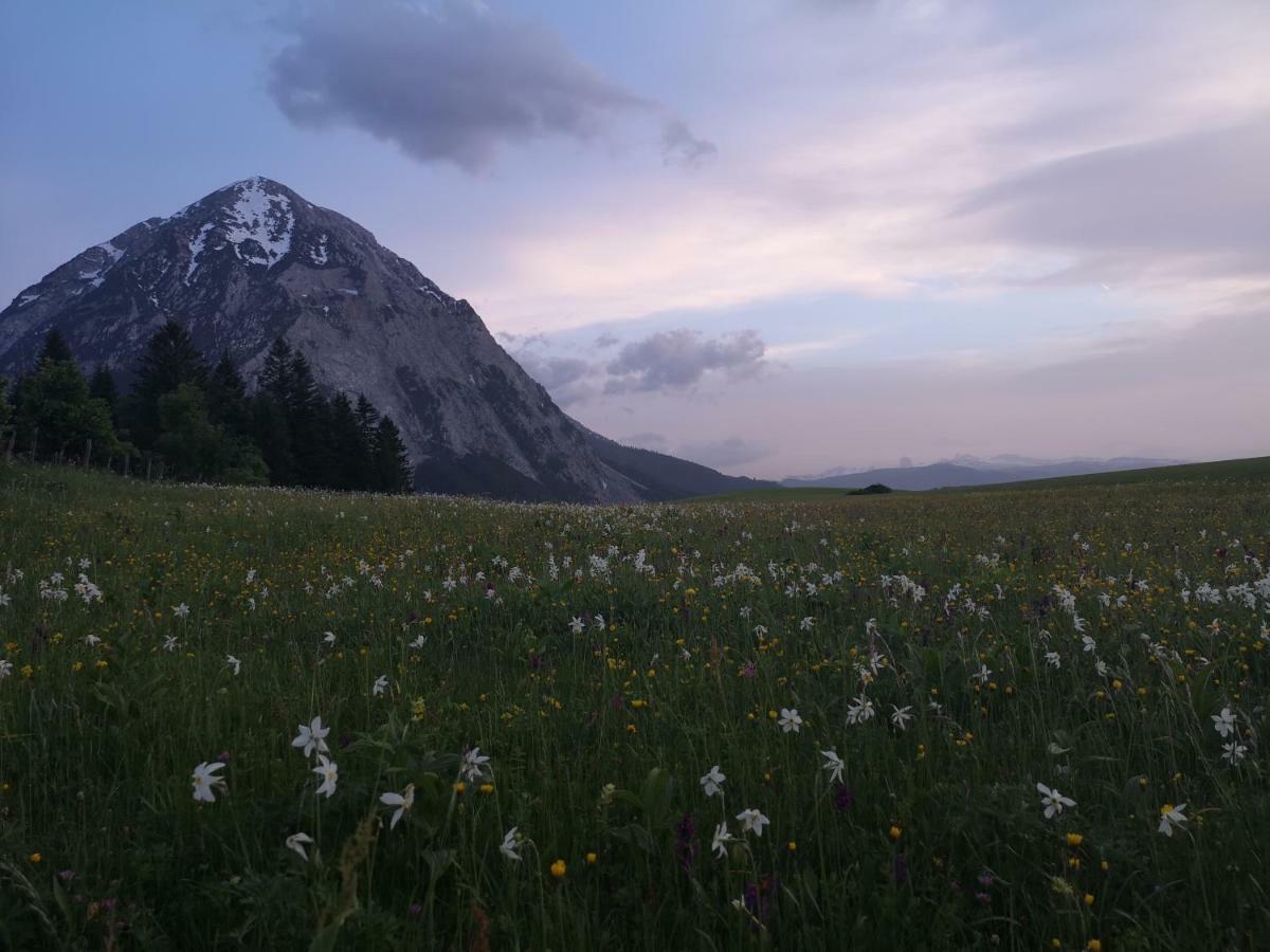 Ferienwohnung Poreiterhof Tauplitz Bagian luar foto